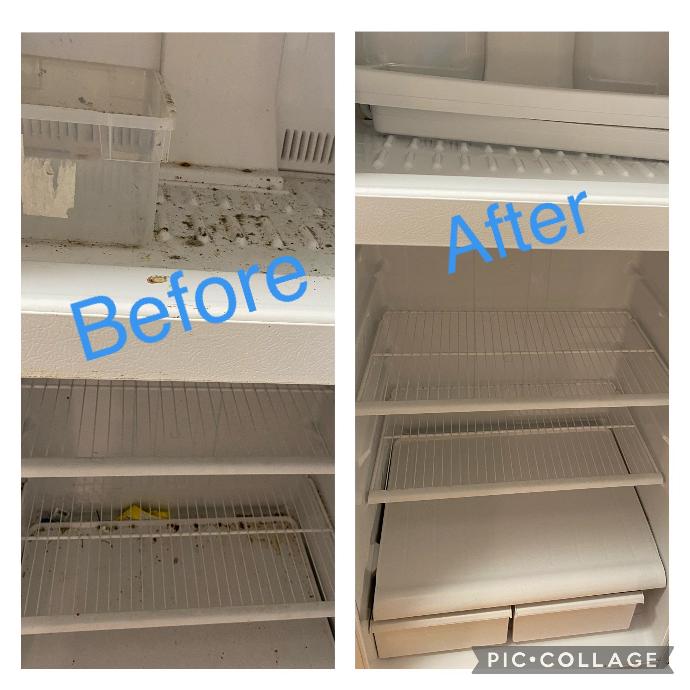 Fridge cleaning